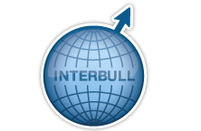 IB-Logo